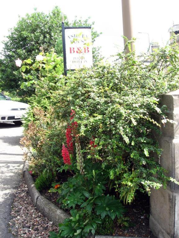 던디 Ashley House B&B 외부 사진