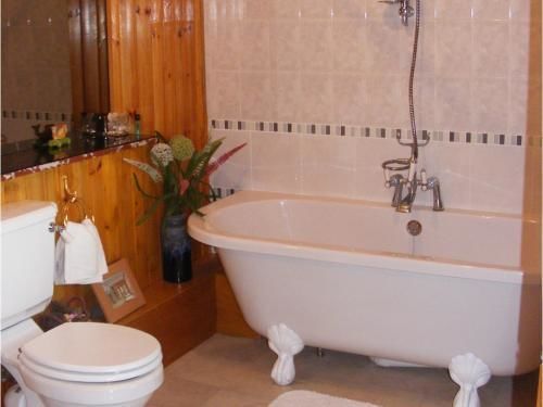 던디 Ashley House B&B 외부 사진